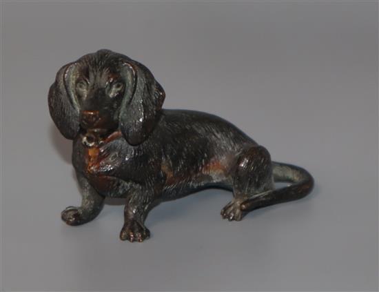 A cold plated bronze of a dachshund